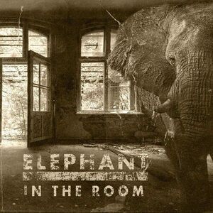 Elephant In The Room